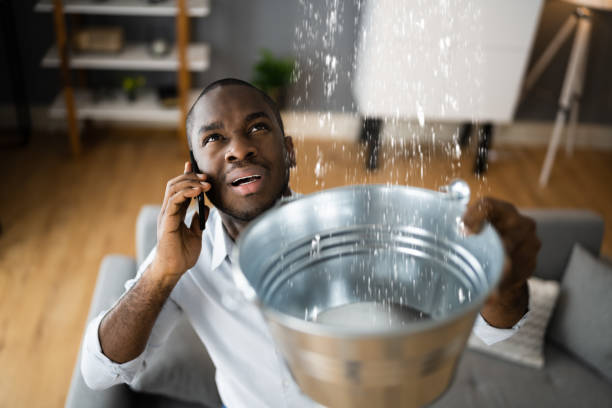 Best Water damage restoration near me  in Quinnipiac University, CT