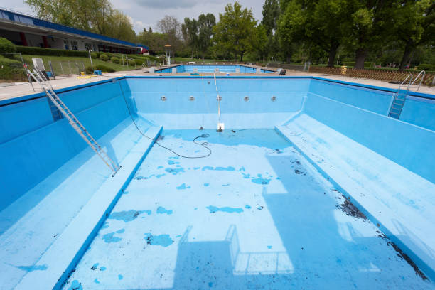 Best Mold removal after water damage  in Quinnipiac University, CT