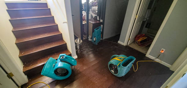 Best Carpet water damage restoration  in Quinnipiac University, CT
