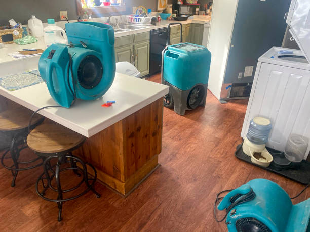 Best Commercial water damage restoration  in Quinnipiac University, CT