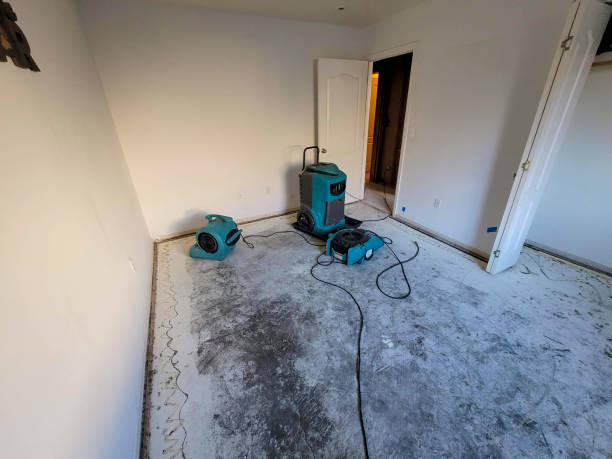 Best Fire Damage Restoration  in Quinnipiac University, CT