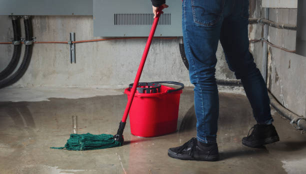 Best Water damage restoration process  in Quinnipiac University, CT