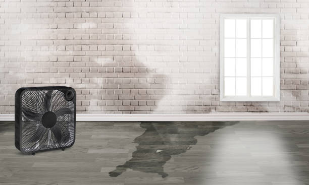 Best Flood restoration services  in Quinnipiac University, CT