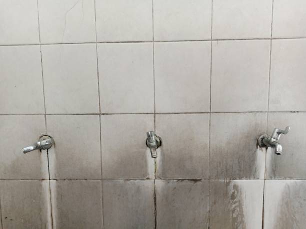 Best Basement water damage restoration  in Quinnipiac University, CT