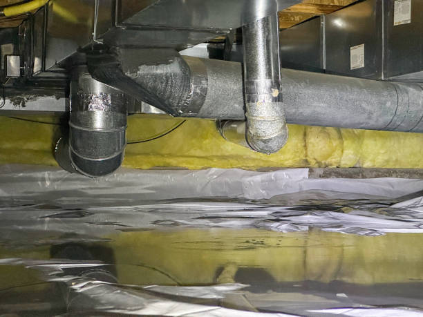 Best Flood damage cleanup  in Quinnipiac University, CT