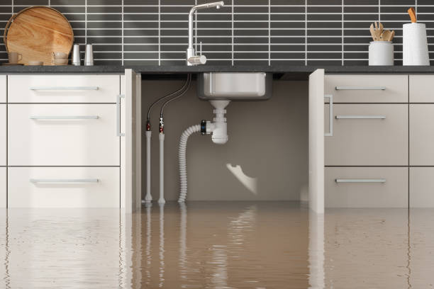 Best Flooded house restoration  in Quinnipiac University, CT