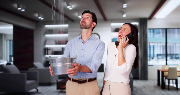 Best 24/7 water damage repair  in Quinnipiac University, CT