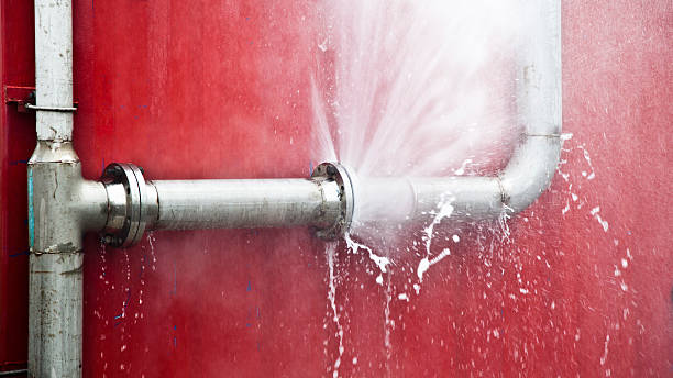 Best Sewage cleanup and water damage restoration  in Quinnipiac University, CT