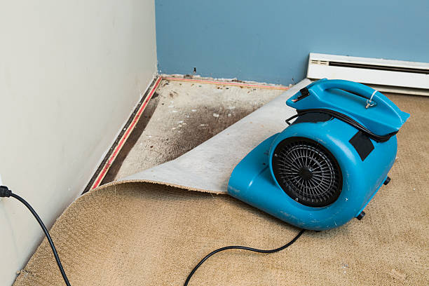 Best Ceiling water damage repair  in Quinnipiac University, CT
